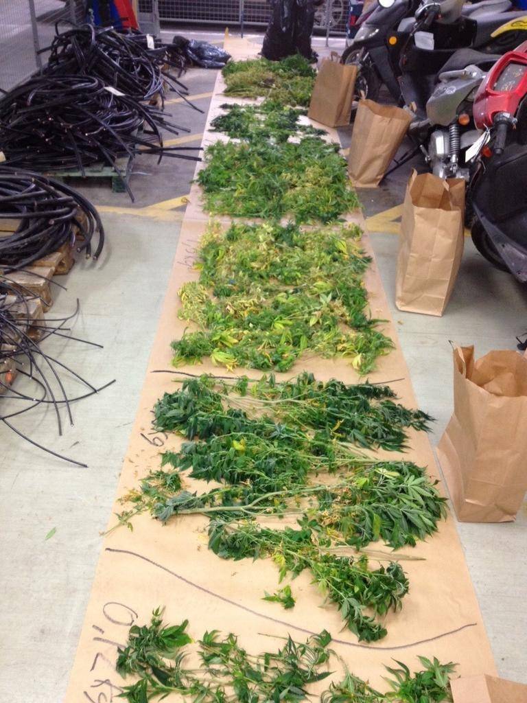 Snögubbe, knark, Cannabis, Polisen, Hasch, Sociala Medier
